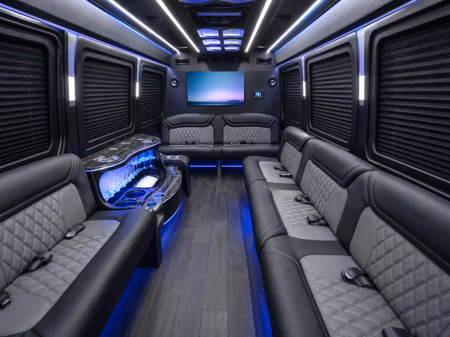 hemet 30 passenger party bus interior